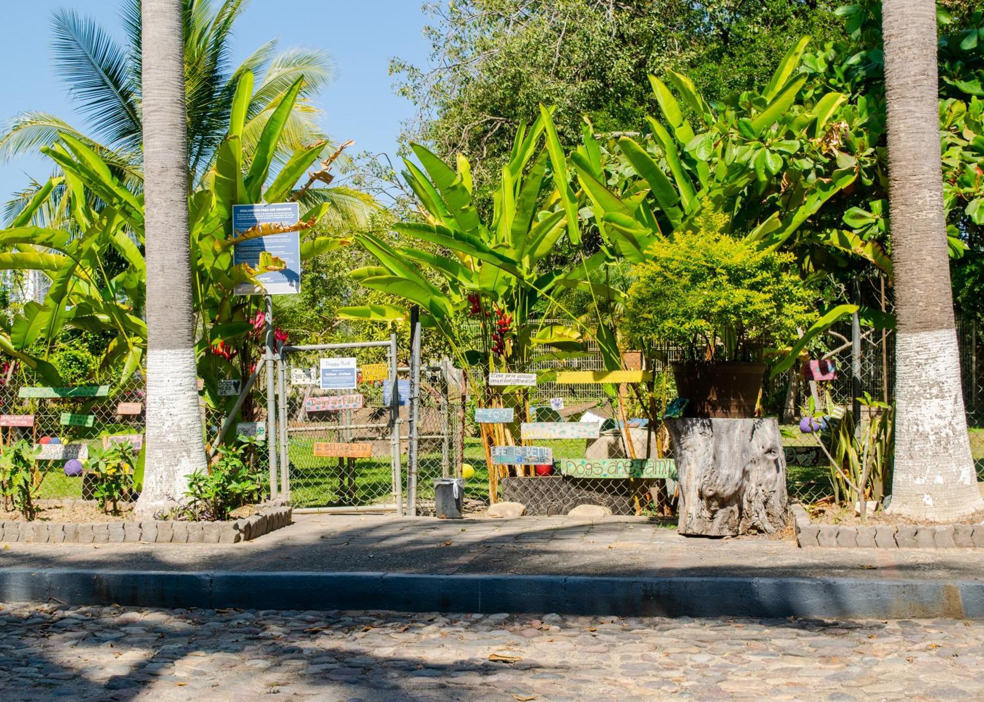 Puerto De Luna Pet Friendly And Family Suites Puerto Vallarta Exterior photo