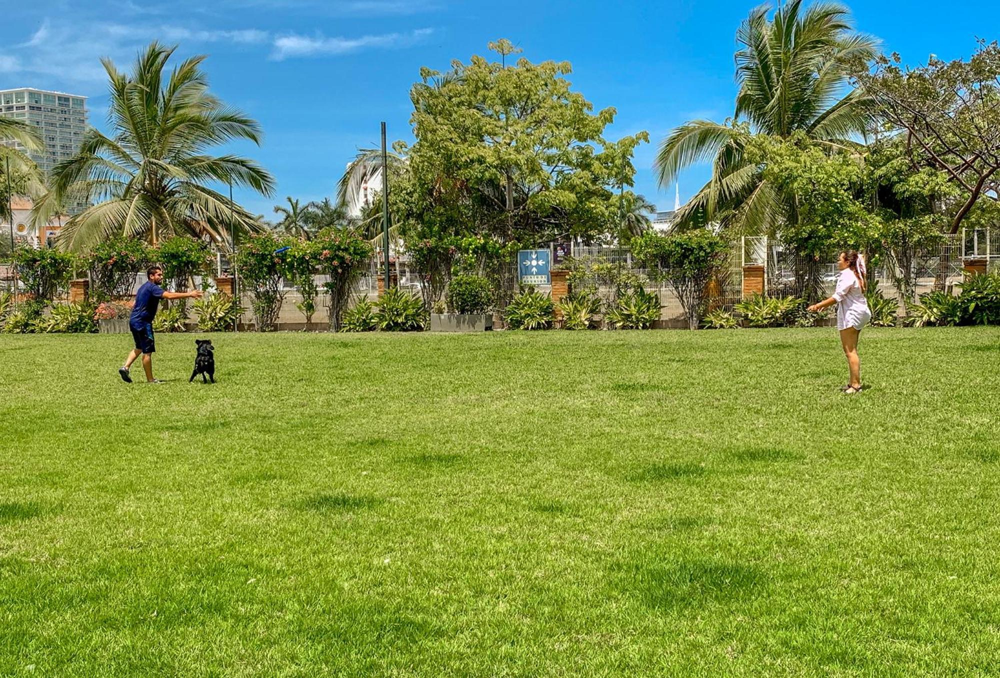 Puerto De Luna Pet Friendly And Family Suites Puerto Vallarta Exterior photo